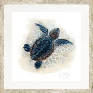 KS- LOGGERHEAD 3